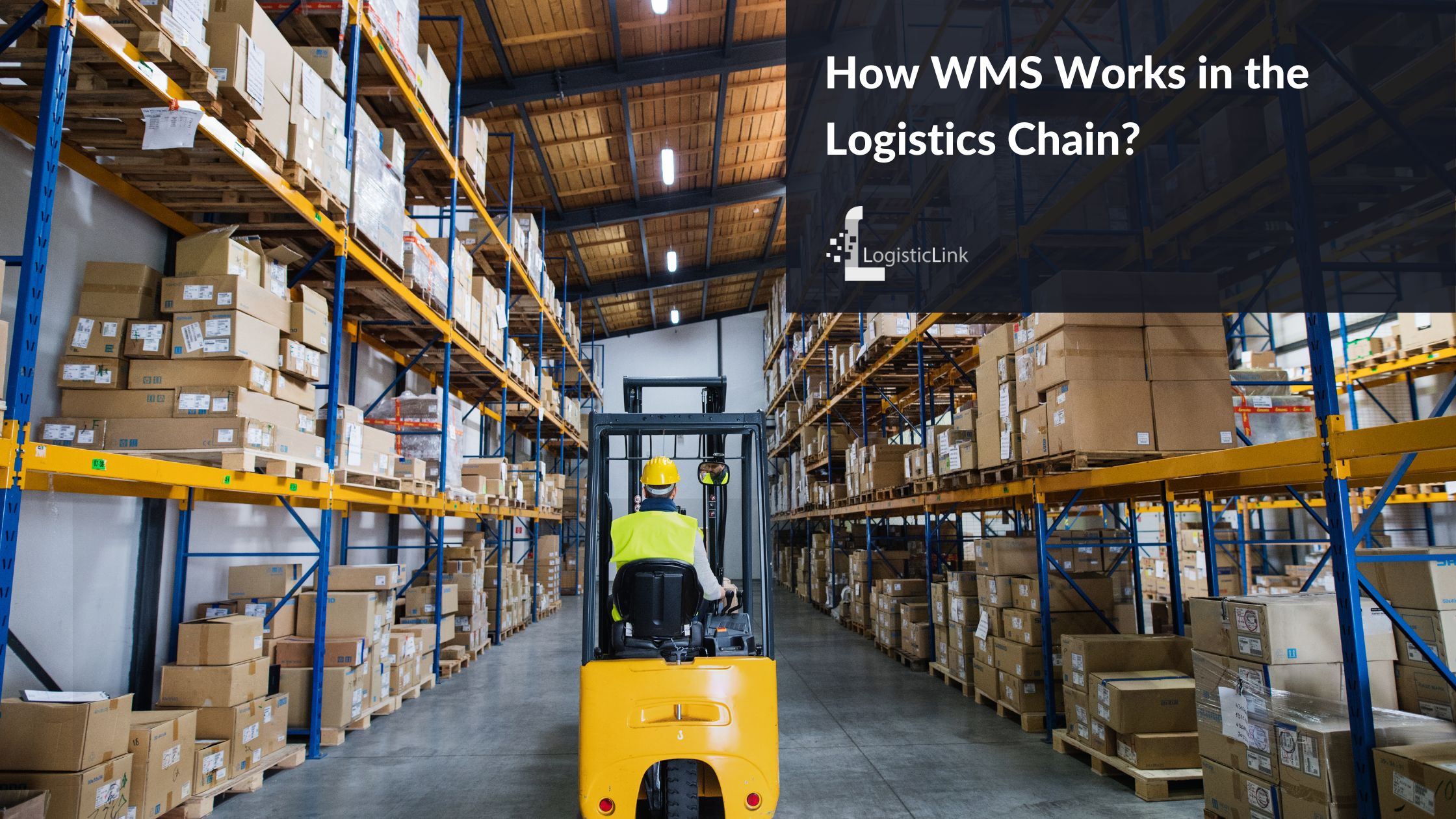 WMS Works in the Logistics Chain